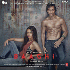 Cham Cham Baaghi Cham Cham Baaghi
